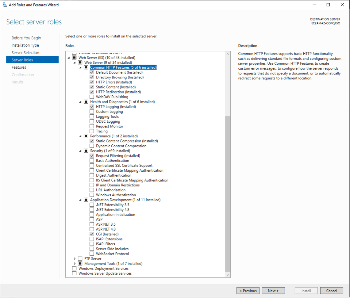 Web Server Role selection